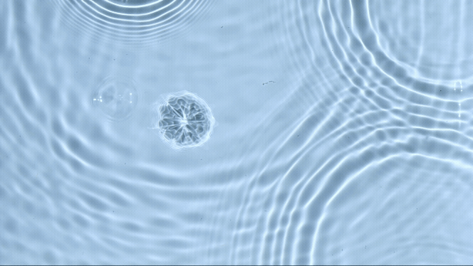 WaterDroplets WaterDroplets